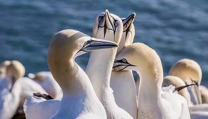 爱游戏官网首页-国际热身赛中国女足爆冷 技术问题引发关注，国足热身赛比赛结果