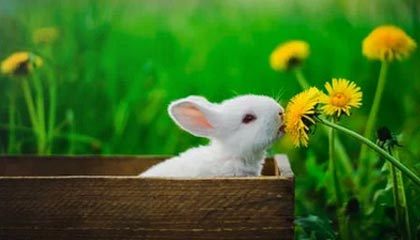 爱游戏官网首页-国际热身赛中国女足爆冷 技术问题引发关注，国足热身赛比赛结果