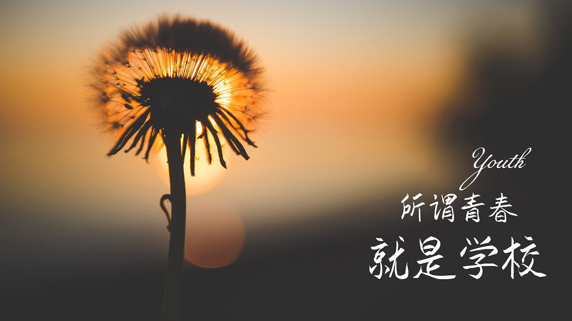 卡利亚里主场战胜豪门，展现巨大潜力，卡利亚里主力阵容