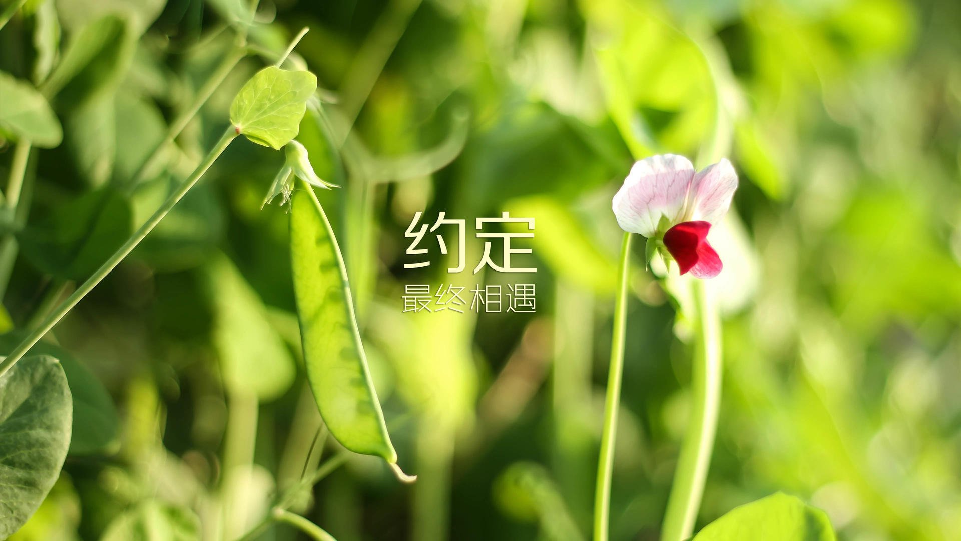 奇才球队球队新人表现备受期待，奇才队球员名单及薪水