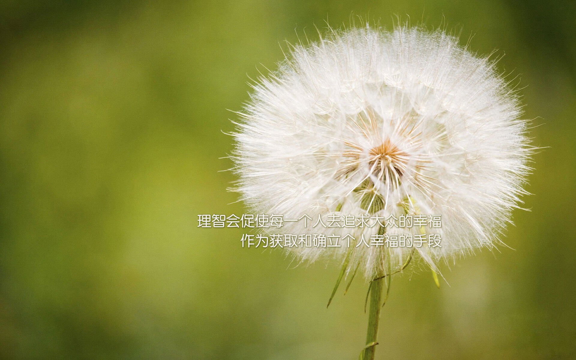 开拓者队处于低谷 队员士气或有所影响，开拓者的队员