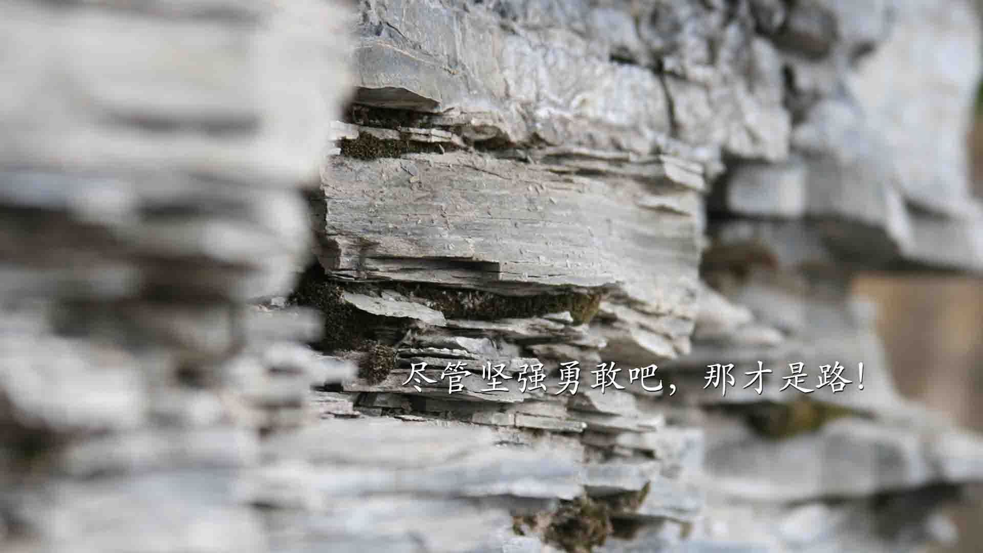 中国篮球运动员篮板技巧提升训练方案研究，如何提高篮板能力