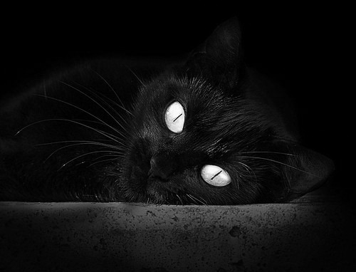 校园体育活动促进创新能力，校园体育活动促进创新能力的措施