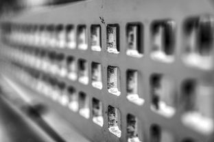 爱游戏体育-青少年运动损伤预防技术及实践研究，青少年运动损伤预防技术及实践研究论文