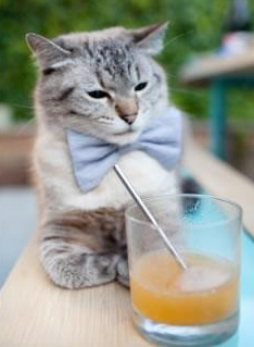 五大联赛强强对话中的战术对位与发挥差异,五大联赛各联赛打法特点