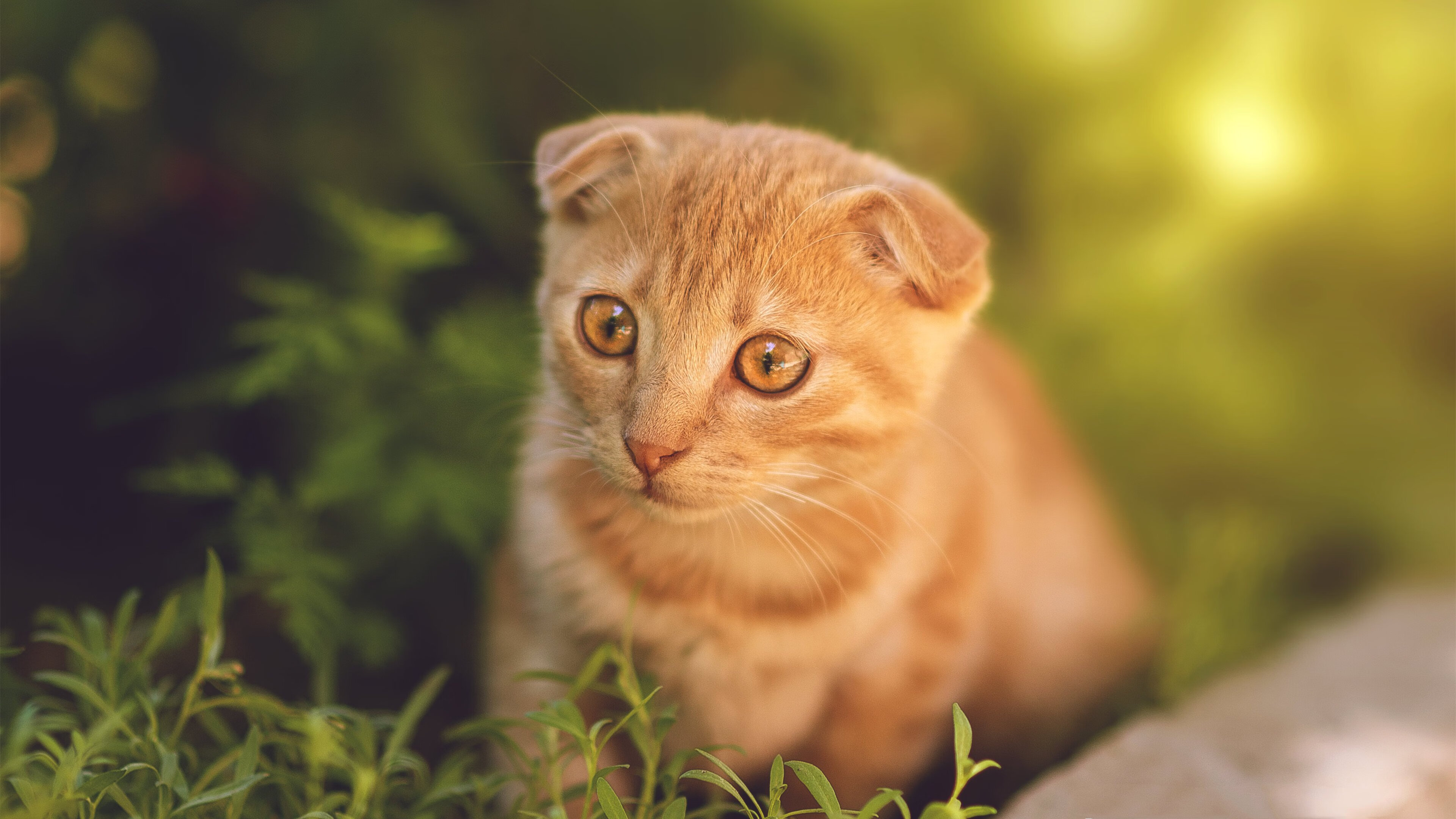 爱游戏入口-国家男篮引进新科技辅助训练提升效率，国家男篮训练基地